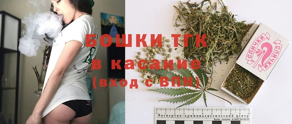 эйфоретик Баксан